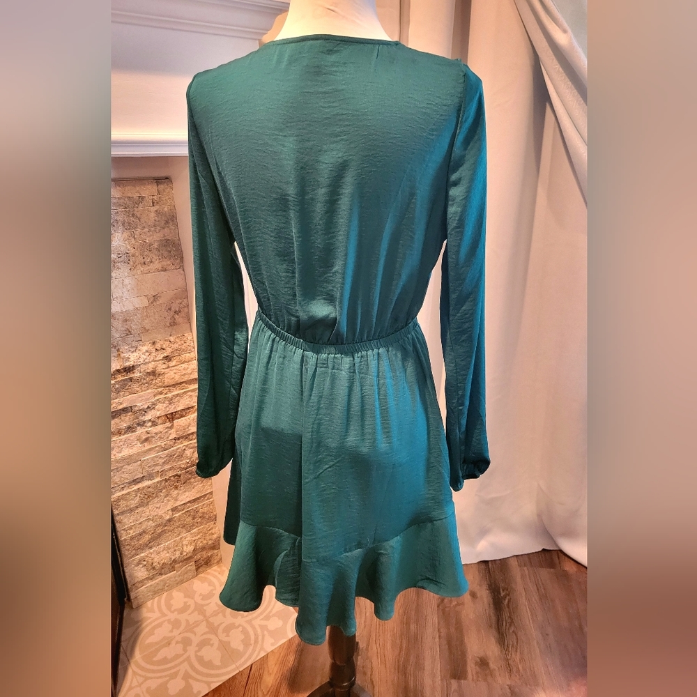 Express Dress - Picture 3 of 4